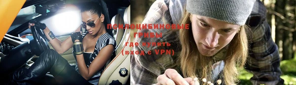 Альфа ПВП Михайлов