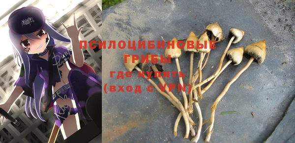 ECSTASY Михайловск