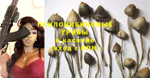 каннабис Магас