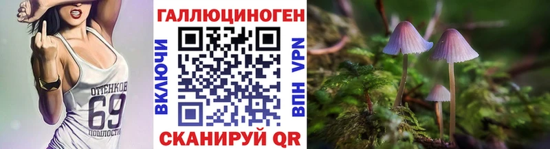 KRAKEN маркетплейс Суздаль Галлюциногенные грибы GOLDEN TEACHER